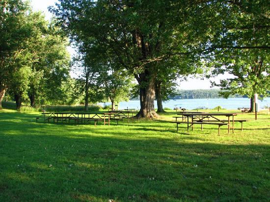 A nearby lake in a park